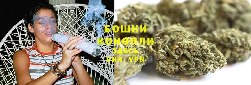 купить   Козьмодемьянск  Бошки марихуана Amnesia 